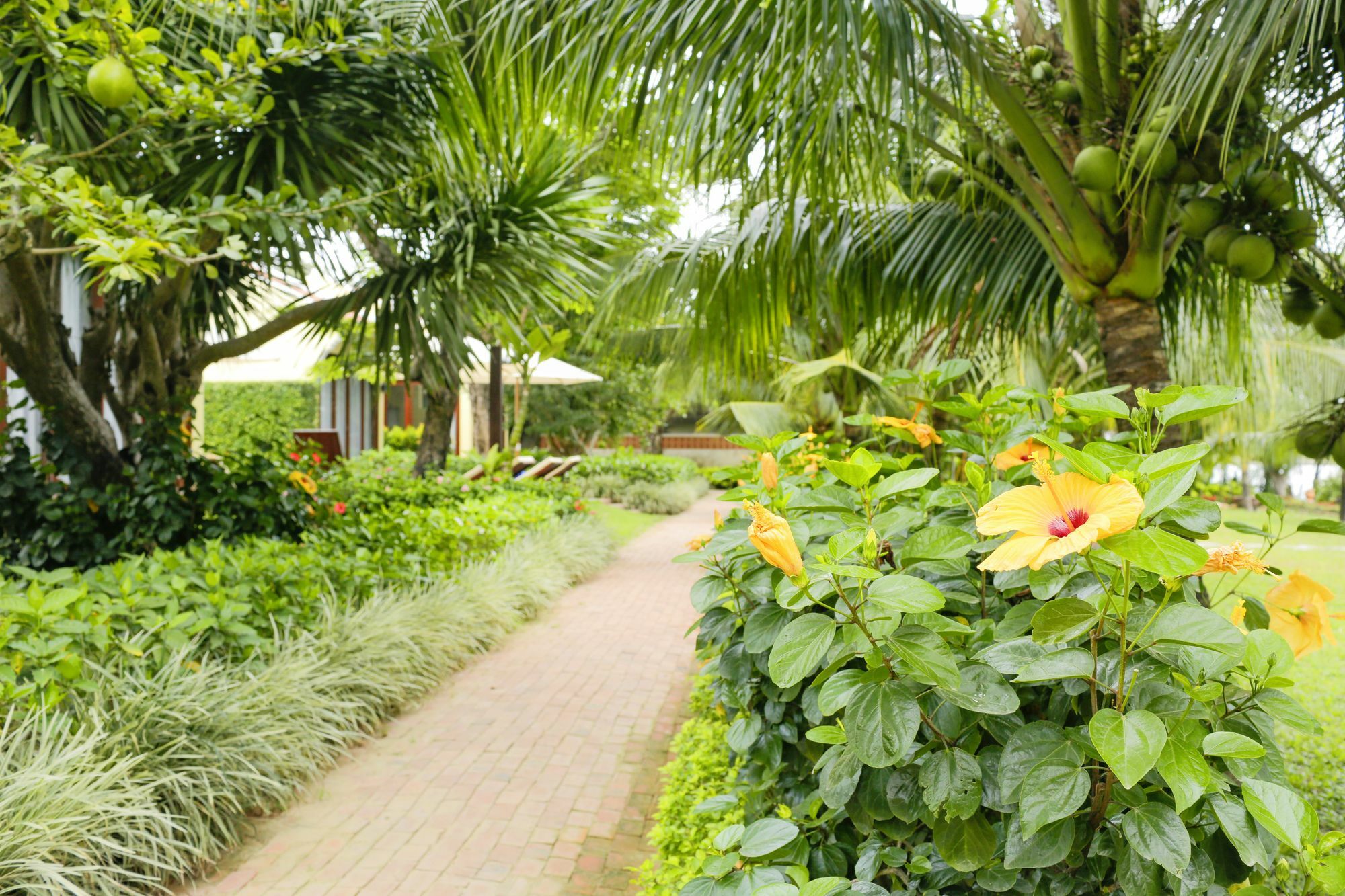 Hotel Mulberry Collection Silk Marina Imperial Wing Hoi An Zewnętrze zdjęcie